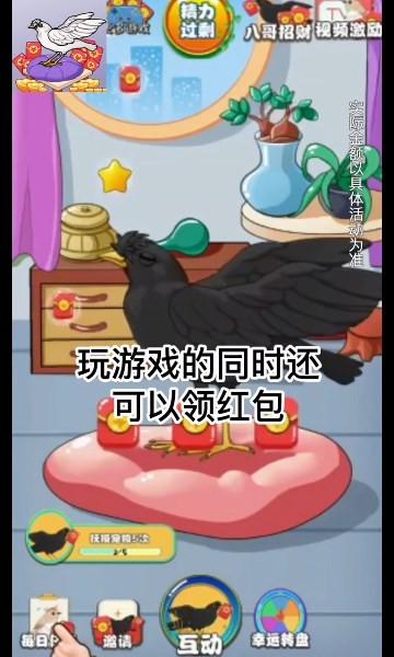 福气八哥