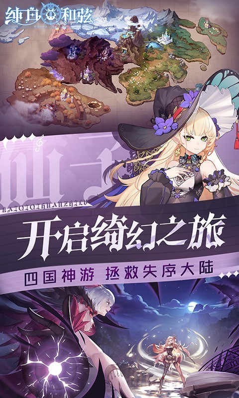 纯白和弦2023