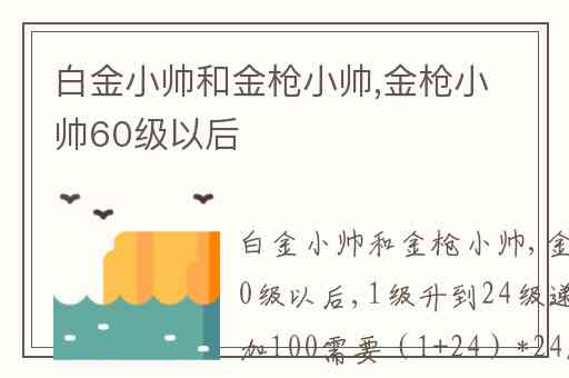 白金小帅和金枪小帅,金枪小帅60级以后