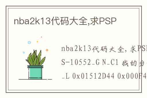 nba2k13代码大全,求PSP