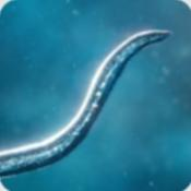 孢子模拟器手机版v55.67