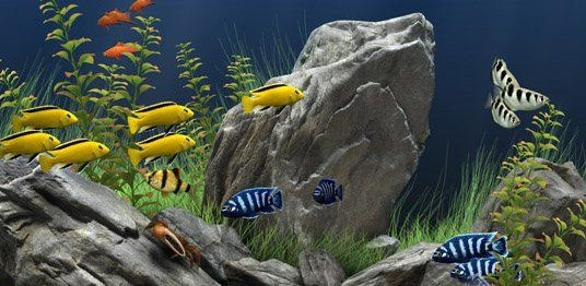 Dream Aquarium梦幻水族馆屏保V1.293汉化版