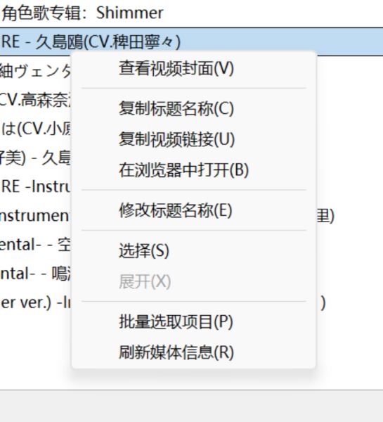 B站视频器Bili23-Downloader v1.70.4 绿色免费版