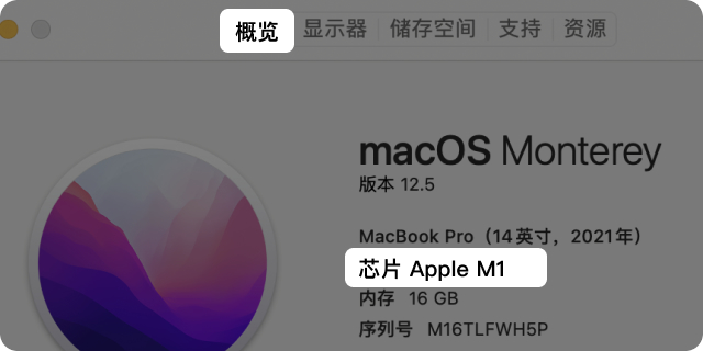 新榜小豆芽(跨平台多账号内容运营工具) for mac v4.2.11 苹果电脑版 Apple芯片版