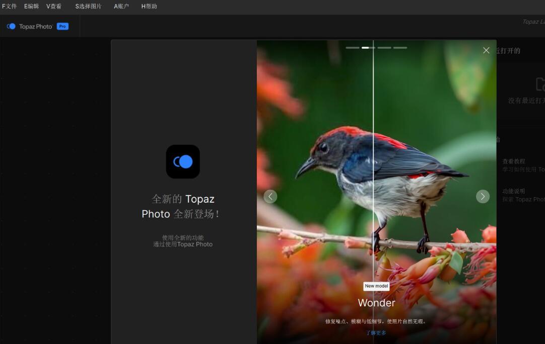 AI图片降噪软件Topaz Photo Pro v1.1.2 免费绿色便携版