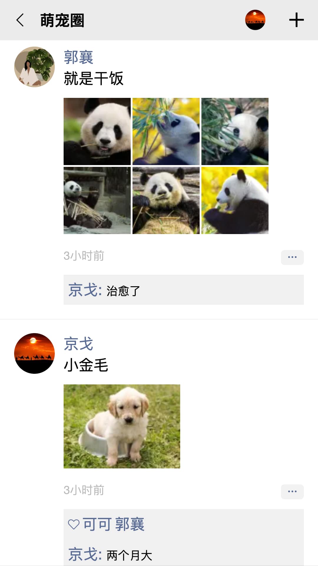 队信(交友聊天软件) v1.1.88 安卓手机版