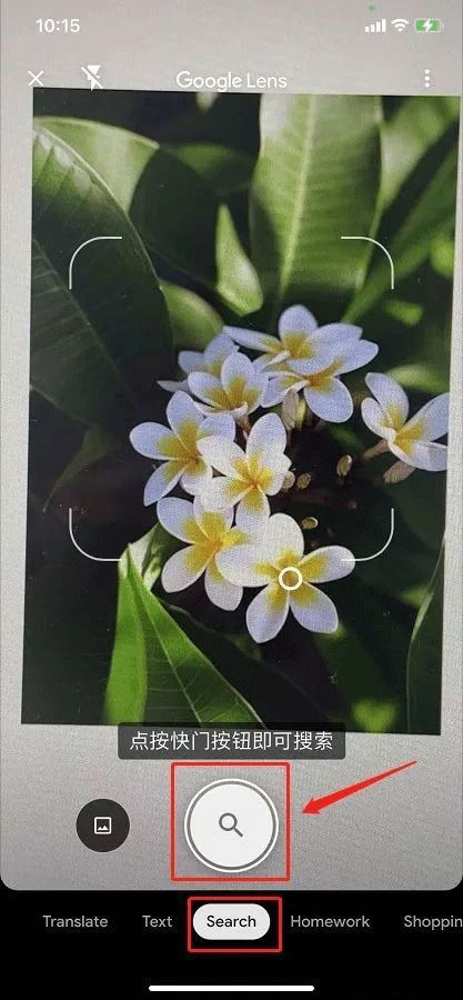 Google谷歌智能镜头最新版 v1.18.250731009 安卓版 支持翻译