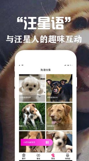 狗语翻译交流器(宠物交流软件) v3.6 安卓版