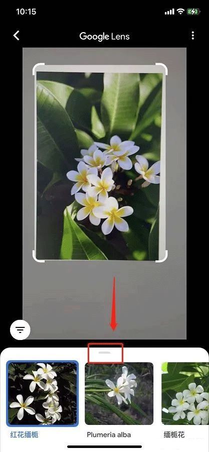 Google谷歌智能镜头最新版 v1.18.250731009 安卓版 支持翻译