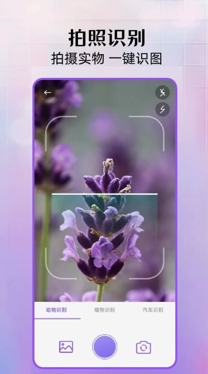 花间空间(拍照识别工具) v1.16 安卓手机版