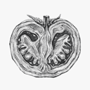 胃之书(饮食生活软件) v2.0.1 安卓版