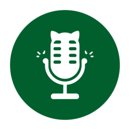 TMSpeech 实时语音转字幕软件 v0.4.2 免费绿色版