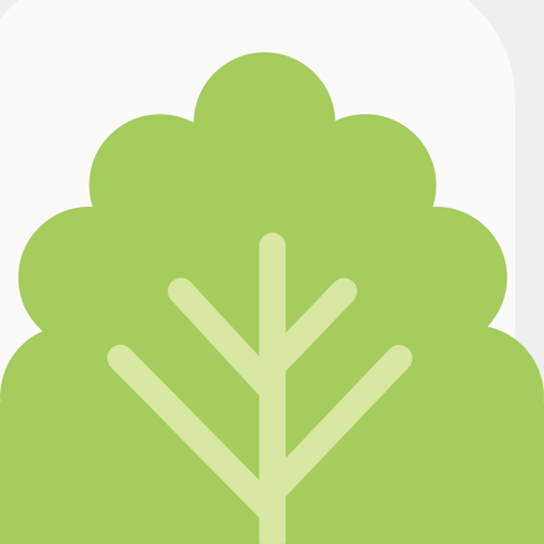 Mochi(记忆学习软件) v1.19.2 苹果手机版