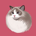 壁纸库(壁纸软件) v1.0.1 安卓版