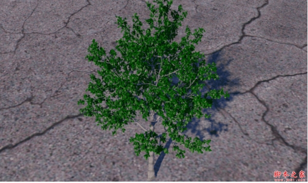 C4D森林植物花草生长插件3DQUAKERS Forester v1.5.4 for Cinema 4D R23-2023 Mac版