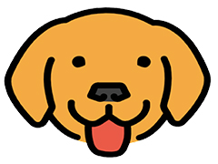 Bruno API客户端 v3.0.2 绿色免费版 (开源轻量级替代Postman工具)