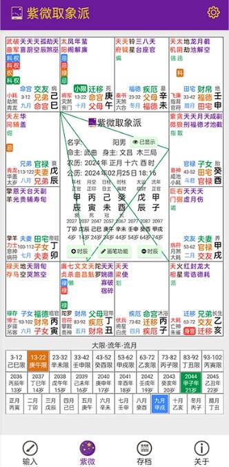 紫微取象派(紫微斗数排盘软件) v1.0.18 官方安卓版