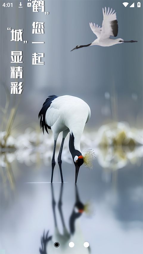 鹤城在线(便民服务平台) v1.0.0.406171 安卓版