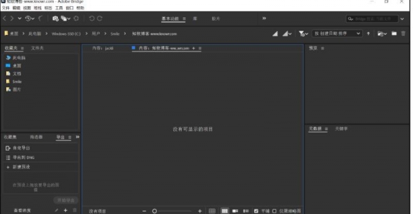 Adobe Bridge(BR2026) 2026 v15.0.0.397 中文免安装绿色版