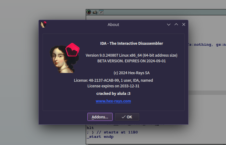 IDA Pro/Teams v9.0.241217 Win/Linux 官方完整授权版+绿色版 64位