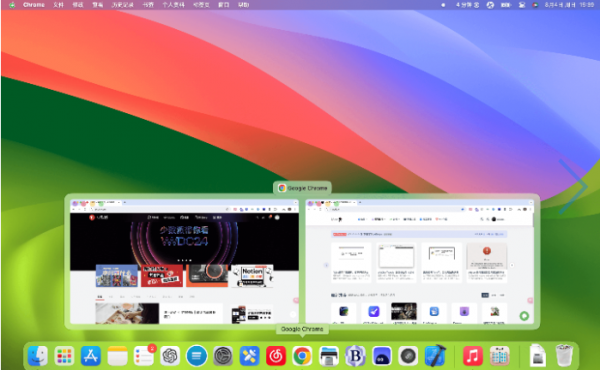 DockDoor 窗口切换快速预览小工具 v1.2.9 苹果电脑版