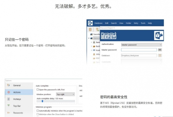 最强密码管理密码仓库 Password Depot Corporate Edition v17.2.1 多语绿色便携版