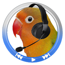 经典复读机(课外学习辅导软件) v1.37 安卓版