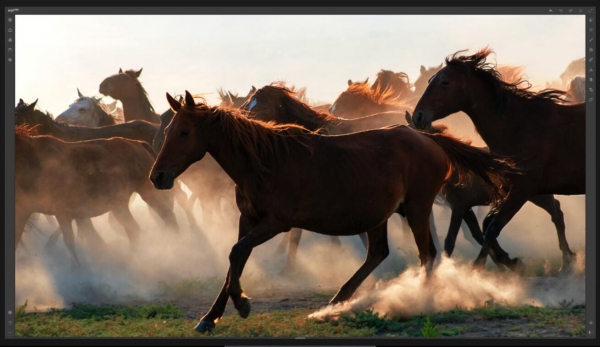 图像处理工具 Irix HDR Pro v2.3.15 安装免费版