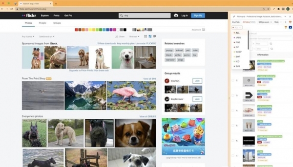 PicHound图片批量管理插件 v23.12.01 官方版