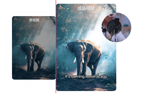 VAS视频加字幕(AIY一键加字幕翻译) v2.0.9 官方安装版(附使用教程)