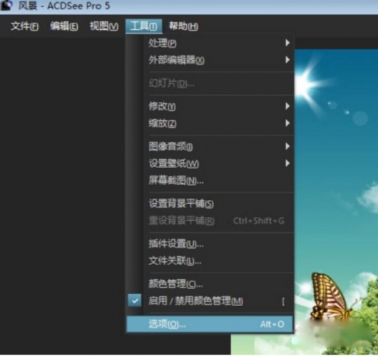 ACDSee 5.0.1 集成美化版(个人修改版)