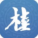 壮掌桂(广西群众政务服务软件) v2.2.4 安卓手机版