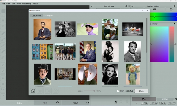 CODIJY Colorizer Pro 老黑白照片着色器 v4.2.0 (x64) 多语言便携绿色版
