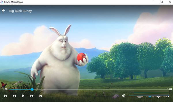 jellyfin视频播放软件 for Windows v10.8.5 官方安装免费版