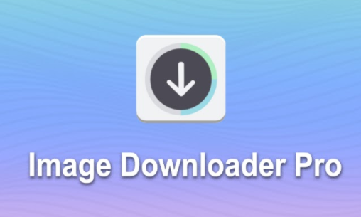 图片批量神器 Image DP v1.0.2 Chrome扩展插件