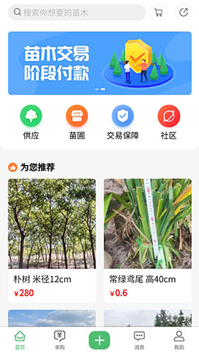 苗青青(苗木交易软件) v2.0.30 安卓版