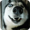 烧屏坏点检测app for Android v1.3安卓手机版