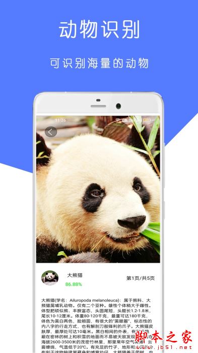 植物识别王(万物识别软件)V23.08.18 安卓版