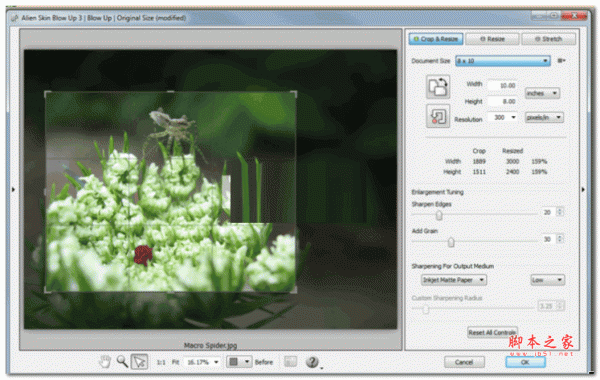 图像无损放大PS插件Exposure Software Blow Up 3.1.6.0 汉化特别版