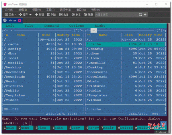 Woterm for MAC远程管理工具 v9.28.9 苹果电脑版