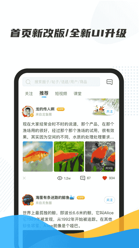 龙巅(兴趣社交软件) v7.0.14 安卓版