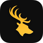 Widgetter for Mac(桌面壁纸/桌面自定义组件) v1.14.10.3W 直装免费版