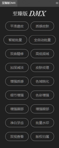 至臻版DMX一键自动人像磨皮美容插件 PS2026 Win/Mac 汉化免费版