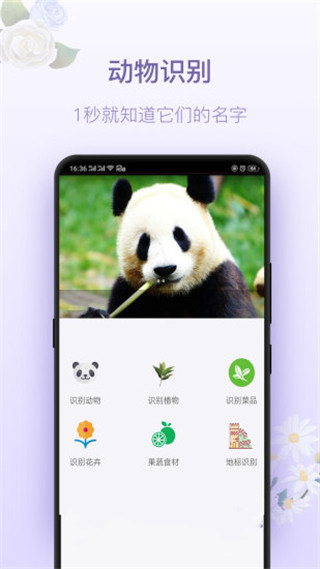 拍照识花神器(识别植物软件) v5.6.5 安卓版