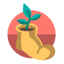 我的日常打卡(日常习惯打卡助手应用) v5.2.4 安卓手机版