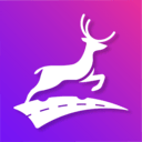 上鹿学车(交通运输安全培训服务客户端)v2.8.0安卓版