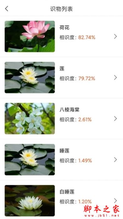 拍照识物全能王(万物识别软件)v1.3.2 安卓版