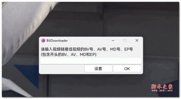 Bili Downloader(b站视频器) v1.1.1 官方安装版
