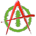 视频去闪烁磨皮美容AVID插件 Digital Anarchy AVX bundle v2026.5 CE一键直装版