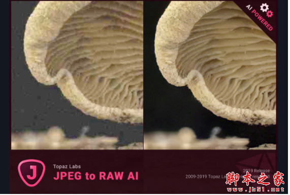 人工智能JPEG转RAW软件Topaz JPEG to RAW AI v2.2.1 汉化破解版(附方法)